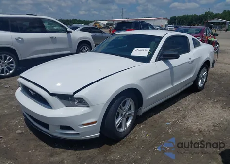 2014 Ford Mustang V6 z USA, uszkodzony, nr VIN 1ZVBP8AM8E5253563